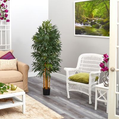 Image showing  5 ft. Artificial Phoenix Palm Tree with Natural Trunk