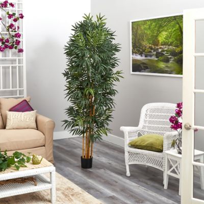 Image showing  6.5 ft. Artificial Phoenix Palm Tree with Natural Trunk