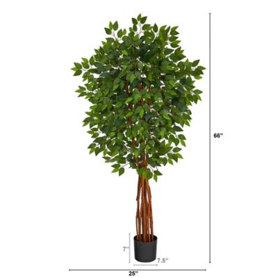 Image showing  5.5 ft. Artificial Super Deluxe Natural Trunk Ficus Tree with Natural Trunk