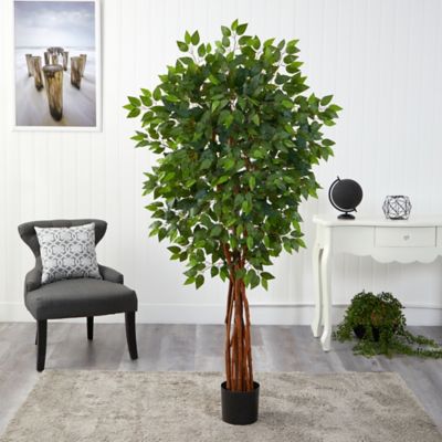 Image showing  5.5 ft. Artificial Super Deluxe Natural Trunk Ficus Tree with Natural Trunk
