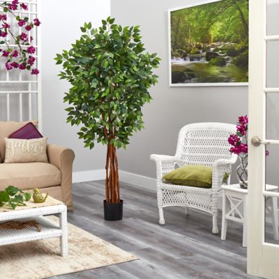 Image showing  5.5 ft. Artificial Super Deluxe Natural Trunk Ficus Tree with Natural Trunk