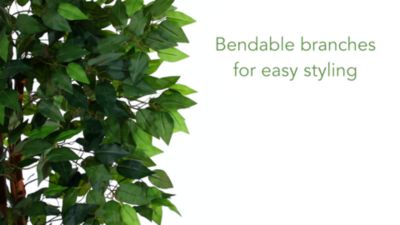 Image showing  5.5 ft. Artificial Super Deluxe Natural Trunk Ficus Tree with Natural Trunk