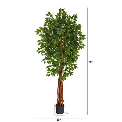 Image showing  6.5 ft. Artificial Super Deluxe Ficus Tree with Natural Trunk