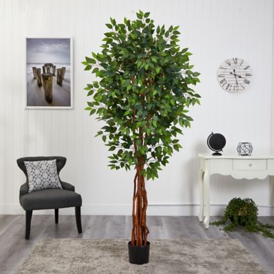 Image showing  6.5 ft. Artificial Super Deluxe Ficus Tree with Natural Trunk