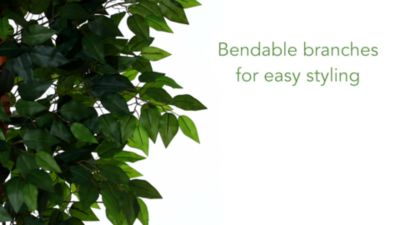 Image showing  6.5 ft. Artificial Super Deluxe Ficus Tree with Natural Trunk