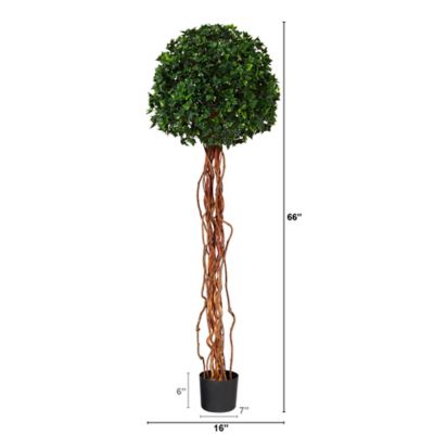 Image showing  5.5 ft. Artificial English Ivy Single Ball Topiary Tree with Natural Trunk UV Resistant, Indoor/Outdoor