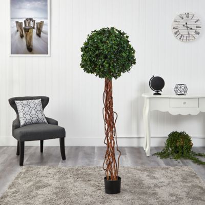 Image showing  5.5 ft. Artificial English Ivy Single Ball Topiary Tree with Natural Trunk UV Resistant, Indoor/Outdoor