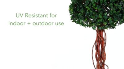 Image showing  5.5 ft. Artificial English Ivy Single Ball Topiary Tree with Natural Trunk UV Resistant, Indoor/Outdoor