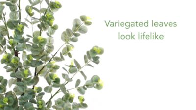 Image showing  4 ft. Artificial Eucalyptus Tree