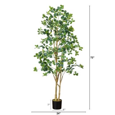 Image showing 1 th Nearly Natural 6 ft. Artificial Black Olive Tree