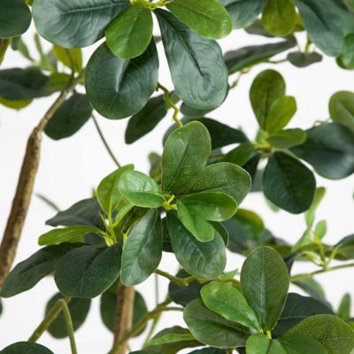 Image showing 2 th Nearly Natural 6 ft. Artificial Black Olive Tree