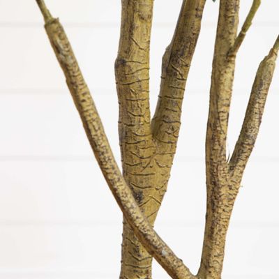 Image showing 3 th Nearly Natural 6 ft. Artificial Black Olive Tree