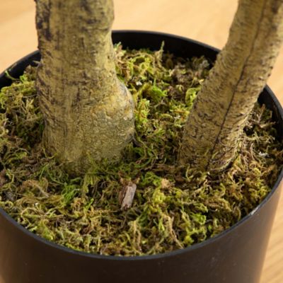 Image showing 4 th Nearly Natural 6 ft. Artificial Black Olive Tree