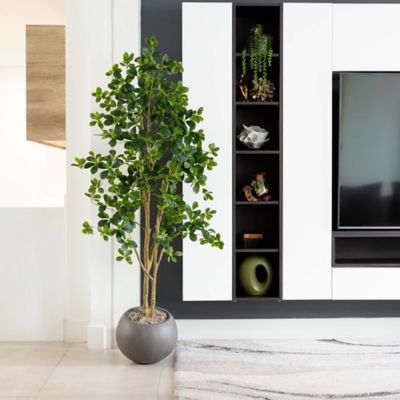 Image showing 6 th Nearly Natural 6 ft. Artificial Black Olive Tree