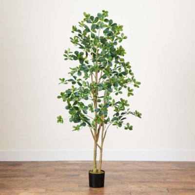 Image showing 7 th Nearly Natural 6 ft. Artificial Black Olive Tree