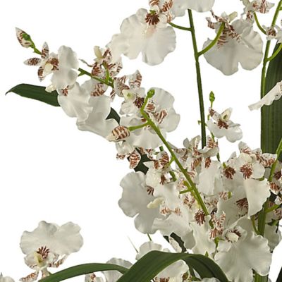Image showing  7 in. Artificial Dancing Lady Orchid Liquid Illusion Silk Flower Arrangement