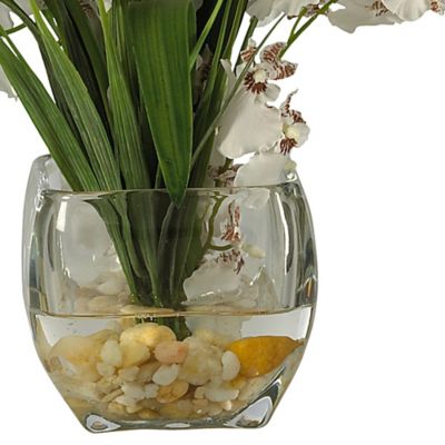 Image showing  7 in. Artificial Dancing Lady Orchid Liquid Illusion Silk Flower Arrangement