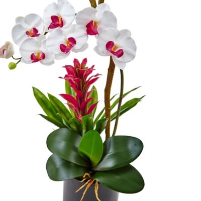 Image showing  26 in. Artificial Orchid and Bromeliad Silk Arrangement in Glossy Black Cylinder Vase