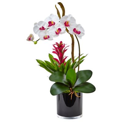 Image showing  26 in. Artificial Orchid and Bromeliad Silk Arrangement in Glossy Black Cylinder Vase