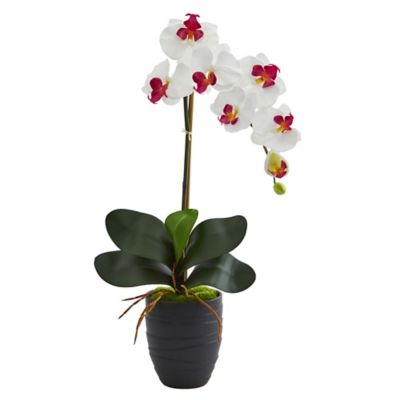 Nearly Natural 22.5 in. Artificial Phalaenopsis Orchid Arrangement in Black Vase, White, 1479-WH
