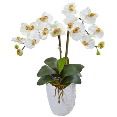 Nearly Natural Artificial 23 in. Double Phalaenopsis Orchid Arrangement in White Ceramic Vase, White