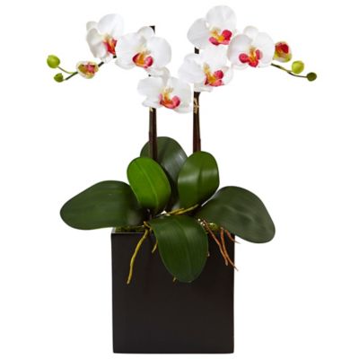 Nearly Natural Artificial 18.5 in. Double Mini Phalaenopsis Silk Orchid in Black Vase, White