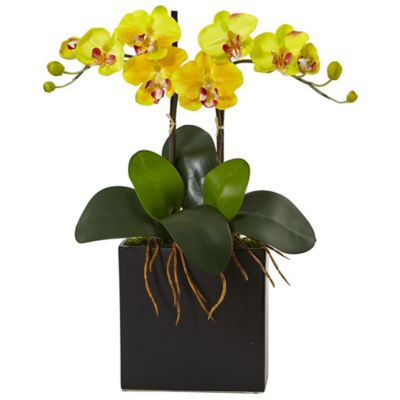 Nearly Natural Artificial 18.5 in. Double Mini Phalaenopsis Silk Orchid in Black Vase, Yellow