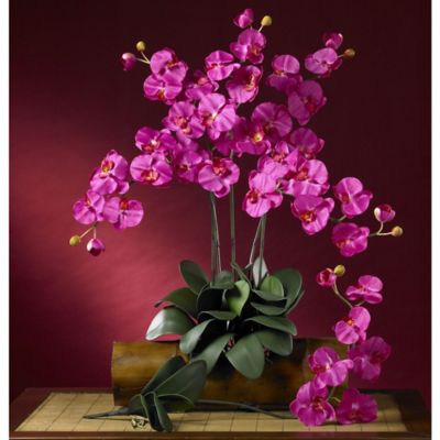 Image showing  5 in. Artificial Phalaenopsis Stem Set, 6 pc., Pink, 2044-BU