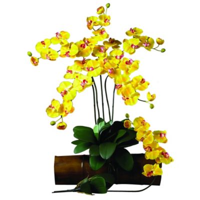 Image showing  5 in. Artificial Phalaenopsis Stem Set, 6 pc., Yellow