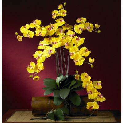 Image showing  5 in. Artificial Phalaenopsis Stem Set, 6 pc., Yellow