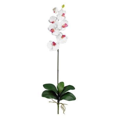 Image showing  5 in. Artificial Phalaenopsis Stem Set, 6 pc., White