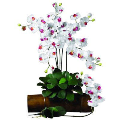 Image showing  5 in. Artificial Phalaenopsis Stem Set, 6 pc., White
