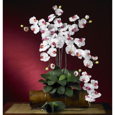 Image showing  5 in. Artificial Phalaenopsis Stem Set, 6 pc., White