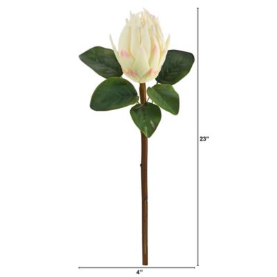 Image showing  Artificial 23 in. King Protea Flowers, White, 4 pc.