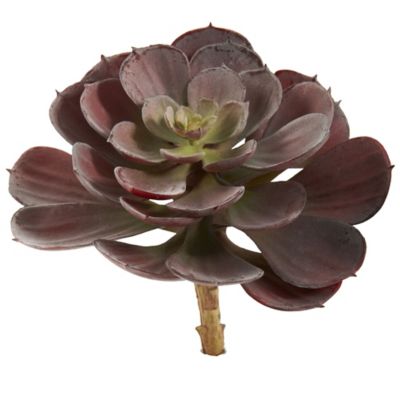 Image showing  6 in. Artificial Echeveria Succulent, 12 pc.