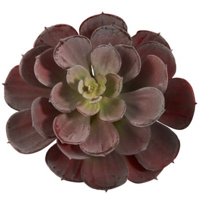 Image showing  6 in. Artificial Echeveria Succulent, 12 pc.