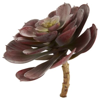 Image showing  6 in. Artificial Echeveria Succulent, 12 pc.