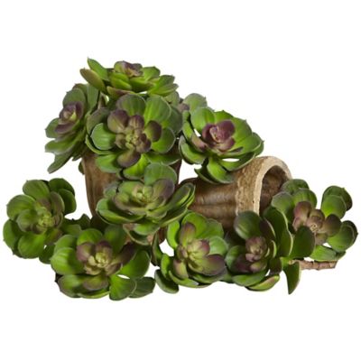 Nearly Natural 5 in. Artificial Echeveria Succulent Plant, 12 pc.