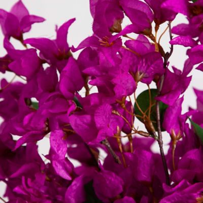 Image showing  30 in. Artificial Bougainvillea Arrangement in Glass Vase, Pink