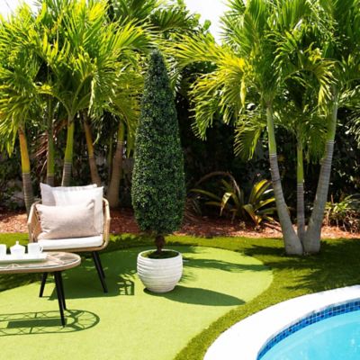 Image showing  6 ft. Artificial Boxwood Topiary Cone Tree, UV Resistant, Indoor/Outdoor