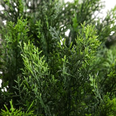 Image showing 2 th Nearly Natural 4 ft. Artificial Cedar Bush, UV Resistant, Indoor/Outdoor