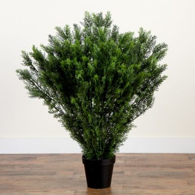 Image showing 5 th Nearly Natural 4 ft. Artificial Cedar Bush, UV Resistant, Indoor/Outdoor