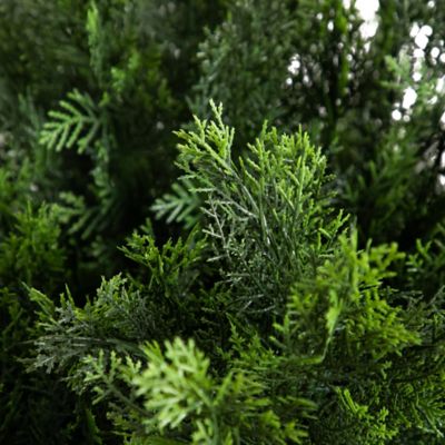 Image showing  5 ft. Artificial Cedar Bush, UV Resistant, Indoor/Outdoor