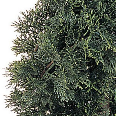 Image showing  Artificial 5 ft. Cedar Spiral Silk Tree, Indoor/Outdoor