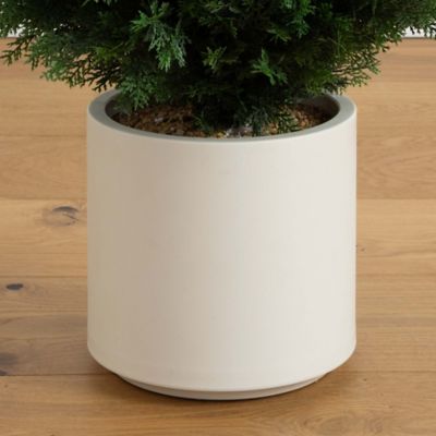 Image showing  4 ft. Artificial Cedar Tree in Decorative White Planter, UV Resistant, Indoor/Outdoor
