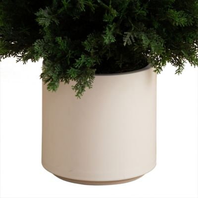 Image showing  5 ft. Artificial Cedar Tree in Decorative White Planter, UV Resistant, Indoor/Outdoor