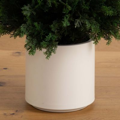 Image showing  5 ft. Artificial Cedar Tree in Decorative White Planter, UV Resistant, Indoor/Outdoor