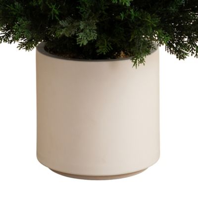 Image showing  6 ft. Artificial Cedar Tree in Decorative White Planter, UV Resistant, Indoor/Outdoor