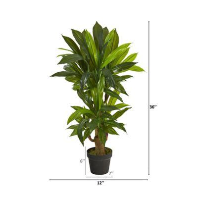 Image showing  Artificial 3 ft. Corn Stalk Dracaena Plant, Real Touch