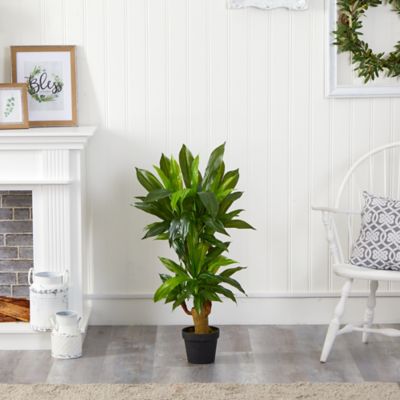 Image showing  Artificial 3 ft. Corn Stalk Dracaena Plant, Real Touch